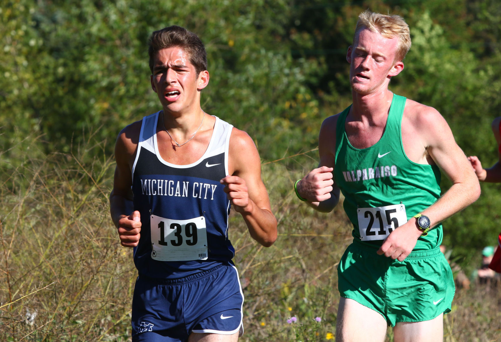 Gallery: Duneland Athletic Conference cross country meet